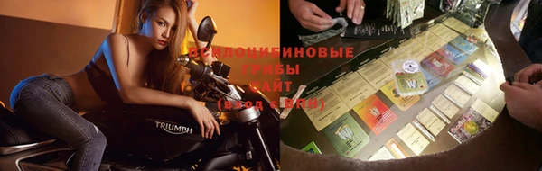 дживик Аркадак