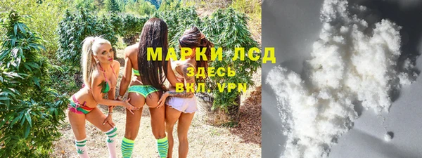 дживик Аркадак