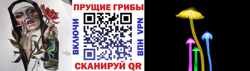ОМГ ОМГ ссылки  Сасово  Галлюциногенные грибы прущие грибы 